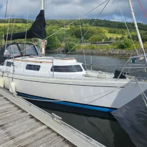 Trident Marine Warrior 35