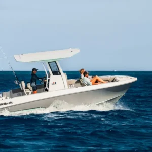 Wellcraft Fisherman 223