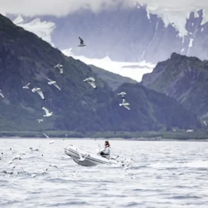 Highfield Classic 340