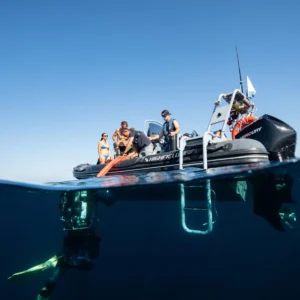 Highfield Patrol 660